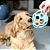 Brinquedo Bola de Borracha Interativa Jumbo 20cm - JW Pet - Imagem 2