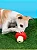 Brinquedo Interativo Cogumelo Recheável para Cachorro - Petta - Imagem 2