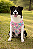 Roupinha Blusa Soft Monstrinho Rosa - Pink e Fanny - 199670/854254 - Imagem 4