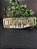 Placa decorativa Bioshock - Imagem 2