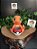 Vaso de Plantas Charmander - Imagem 3