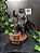 Estatueta personalizável Helldivers 2 - Imagem 1