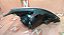 Farol Esquerdo Chery Tiggo 2011 2.0 Manual Zk-o1 - Imagem 3