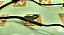 Sensor Abs Asx 2.0 13 13 Dianteiro Esquerdo C08 - Imagem 5
