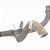 Mangueira Agua Arrefecimento Motor Gm Equinox 2.0 2018 2019 - Imagem 2