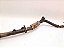 Cabo Polo Negativo Bateria Land Rover Freelander 2 2008 2012 - Imagem 2