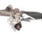 Caixa Direção Volkswagen Touareg 3.6 Aut 2009 2010 2011 - Imagem 3
