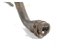 Mangueira Cano Turbina Bmw 118i 1.6 2012 2013 2014 2015 - Imagem 2