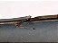 Spoiler Esquerdo Detalhe Kia Mohave 2007 2008 2009 2010 - Imagem 3