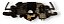 Chave Seta Hard Disk Vw Touareg 2004 2005 2006 - Imagem 3