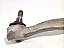 Braço Dianteir Esquerdo Mercedes C350 2009 2010 - Imagem 3