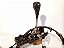 Trambulador Cabo Land Rover Freelander 1 2003 2004 2005 2006 - Imagem 3