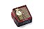REL PULSO MONDAINE F CX MET PU ACO DCR-E 2023/25984-8 - Imagem 1