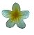 PRESILHA DIVERSAS FORMATO D/ FLOR - Imagem 2