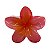 PRESILHA DIVERSAS FORMATO D/ FLOR - Imagem 4