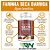 Farinha Seca Barriga (120caps) - RN Suplementos Naturais - Imagem 2