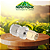 CONECTOR ADAPTADOR TNC FÊMEA X SMA MACHO - Imagem 1