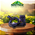 SENSOR DE SEMENTE PM400 - Imagem 1