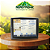 MONITOR INTELLIVIEW 4 - Imagem 1