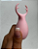 Vibrador Deer Estimulo penis, mamilos e clitores - Recarregável - Imagem 2