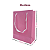 10 Sacolas de Papel Lisas Rosa P- 15LX15AX7cm - Imagem 2