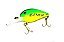 Isca CNQ-95 - Imagem 1