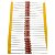 RESISTOR 2K2 2W 5% - 10 PEÇAS - Imagem 1