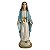Imagem Nossa Senhora das Graças 30cm Gesso Barroca - Imagem 1