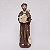 São Francisco de Assis 30cm Gesso Barroco - Imagem 1