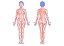 LIPEDEMA: UMA ABORDAGEM ALÉM DA SUPERFÍCIE - Imagem 3