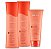 KIT AMEND LISO DESCOMPLICADO - SHAMPOO, CONDICIONADOR E LEAVE IN - Imagem 1