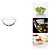 Tigela Cristal 365ml Original Glass Gl7360 12,5cm - Imagem 2