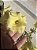 JBSB KIWI - Imagem 2