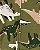 Macacão Carters Bebe Dinossauro Verde - Imagem 2