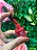 ESMALTE VERMELHO 32 KAPIE 10ML - Imagem 1