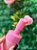 FRASCO PAMP CORACAO ROSA - Imagem 2