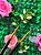 KIT PINCEL MARROM D&Z - Imagem 6
