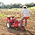 MICROTRATOR DIESEL – TDWT73 - Imagem 7