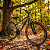 Bicicleta Aro 29 KSW Grafite 21Velocidades - Imagem 12