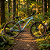 Bicicleta Aro 29 Quadro Show Nextep 19 - Imagem 4