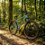 Bicicleta Aro 29 Quadro Show Nextep 19 - Imagem 5
