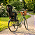 Cadeirinha infantil fun bike cor preta Kalf - Imagem 3