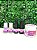 Mini Kit Shopnails Regulador de Ph Primer Sem Acido Base Gel Top Coat e Gel - Imagem 1