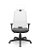 Cadeira Presidente Brizza Plaxmetal Tela Branca Base Standard Back System Assento Poliéster - Imagem 11