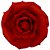 FLOR PAPEL PEQUENA - RT BRASIL - Imagem 7