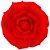 FLOR PAPEL PEQUENA - RT BRASIL - Imagem 16