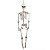 ESQUELETO HALLOWEEN 45CM - Imagem 1