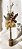 Vinho e Flores - Imagem 2
