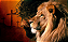 Quadro decorativo - Jesus e leão de Juda - Imagem 4