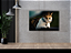 Quadro decorativo - Observador felino - Imagem 1